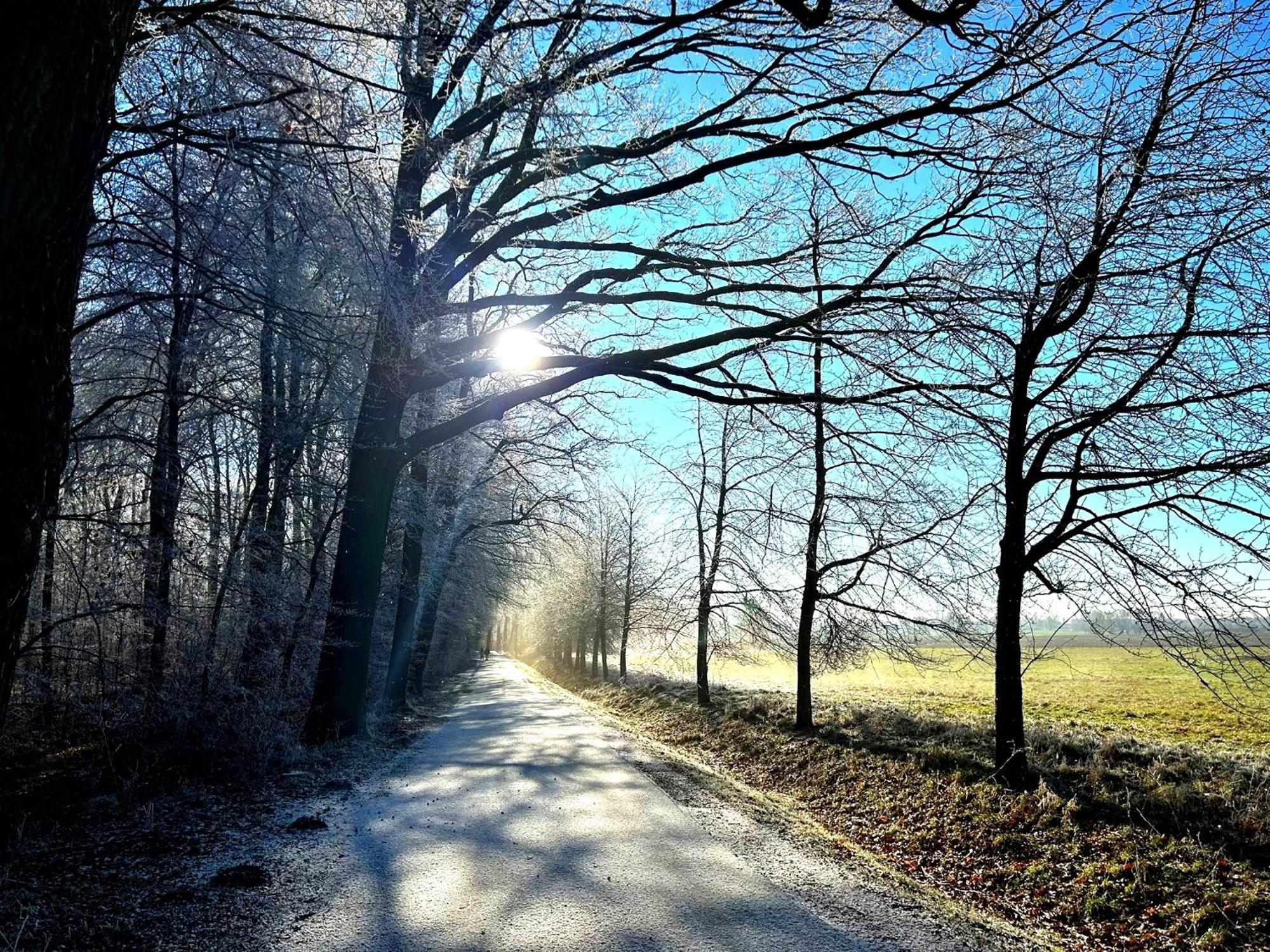 Ferienwohnung Steffenshagen Pritzwalk Kültér fotó